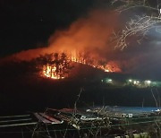 건조주의보 속 경남 아파트·비닐하우스 화재 잇따라