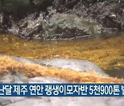 지난달 제주 연안 괭생이모자반 5천900톤 발생