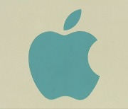 블룸버그 "애플·현대차, 애플카 개발 프로젝트 일시중단"