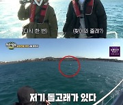 이초희·데프콘·나인, 제주도서 남방큰돌고래 만났다 '감격' (정법)