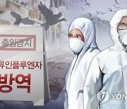 괴산 종오리농장 고병원성 AI 확진..충북 7번째 발생
