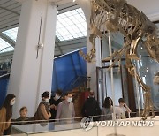 BELGIUM NATURAL SCIENCE MUSEUM