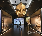 BELGIUM NATURAL SCIENCE MUSEUM