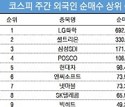 코스피 주간 외국인 순매수 1위 'LG화학'