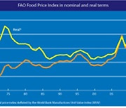 세계식량가격지수 8개월째 상승