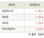 [fnRASSI]오늘의 상한가, 동양에스텍 30.0% ↑