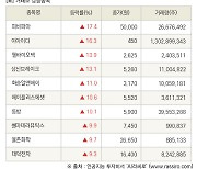 [fnRASSI]장마감, 거래소 상승 종목(피비파마 17.4% ↑)