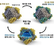 미세먼지 원인 '질소산화물' 제거했다