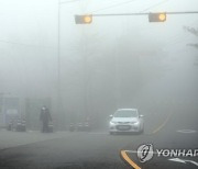 설 연휴 첫날, 전국 맑고 포근..아침까지 답답한 시야