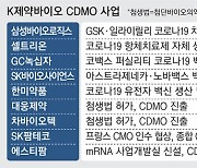 바이오CDMO 춘추전국시대..전통제약사들도 대거 가세