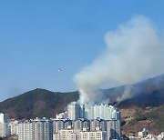 "진화됐다던" 광양 가야산, 다시 화재..당국 "진압 완료"