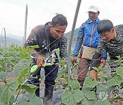 "공장 설 판인데 언제 사람 받을 수 있나"..하루 100여통 불만 전화 폭주 중기중앙회