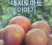 '단짠' 부산 대저 토마토 재배 비법 담은 책 발간