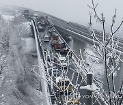 ITALY CAR ACCIDENT