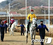 북한 양덕온천문화휴양지 승마장