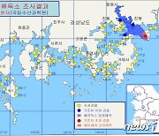 가덕도 천성 연안 홍합에서 '마비성패류독소' 기준치 초과