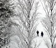 대전·충남 전역으로 대설특보 확대..보령엔 대설경보(종합)