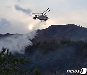 강릉 옥계면 현내리 산불 2시간40분 만에 진화(종합)