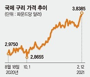 철광석값 1년새 2배, 주가 초강세.. 세계경제 회복세 탔다 [국제원자재값 급등]