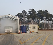 "아프리카돼지열병 확산 저지" 경기도 전역 어미돼지 출하 전 검사