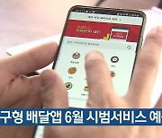 대구형 배달앱 6월 시범서비스 예상