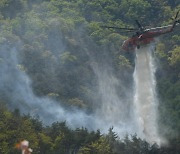 강릉 옥계면 야산서 산불 발생..헬기 투입해 큰 불길 잡아