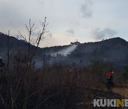 강릉 옥계면 산불 2시간 40여분 만에 진화..1㏊ 소실 추정