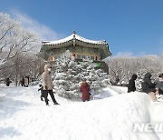 제주, 찬 공기 유입돼 '쌀쌀'..중산간 이상 비 또는 눈