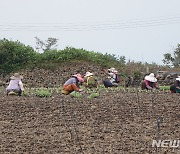 "제주 성평등 주체는 농민·무녀"..도, 여성발굴 영상제작