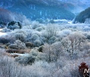 강원 영동 건조주의보 발령..밤에는 산간·영서 한파 경보