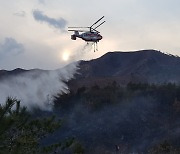 강릉 옥계산불 2시간40분 만에 잡혔다, 1㏊ 소실(종합)