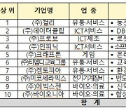 코로나19에도 벤처는 고용 늘려..마켓컬리 고용 증가 1위