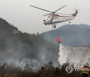 동해안 봄철 산불 비상