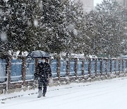 담양 7cm..대설주의보 광주·전남 하늘길·바닷길 멈췄다