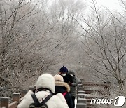 상고대 핀 한라산