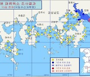 "독 있습니다..부산 가덕도 천성에서 홍합 채취하지 마세요"