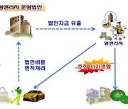 초고가주택·슈퍼카·해외여행..'반칙·특권' 영앤리치 세무조사 착수