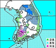 전북 대설·한파·강풍·풍랑특보..내일까지 이어져