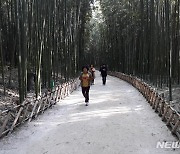 울산 태화강국가정원, 피톤치드 농도 최고..삼산 최저