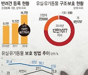 부산시, 유실·유기동물 보호센터 5곳 뿐..수도권의 10분의 1