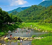 경기도 복원한 '청정계곡', 관광명소화.. 시범사업지 3곳 선정