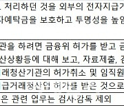 "혁신과 안전 같이 가야"..전금법 빅브라더 논란 반박한 금융위