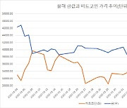 [인플레 논쟁]인플레 헷지 대표주자, 이젠 금 아니고 비트코인?