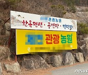 불법 투성이 제천 관광농원, 수년째 배짱 영업..지자체는 팔짱만