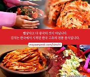 日 공격받던 반크, "김치는 한국음식" 알리자 중국도 맹폭