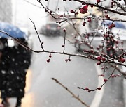 우수(雨水)인 오늘도 추워요 서울 영하 10도