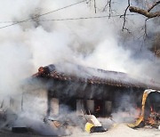 바짝 마른 강릉 산지 불.. "건조특보 내려져 큰 불 주의"