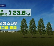 [탄소제로] 곰탕 한 그릇 탄소 10kg..헉! 내가 배출한 탄소가 이렇게나?