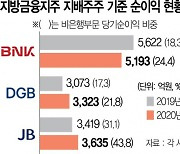 똘똘한 비은행 계열사에 지방 금융지주사 웃었다