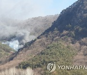 밀양 야산 산불